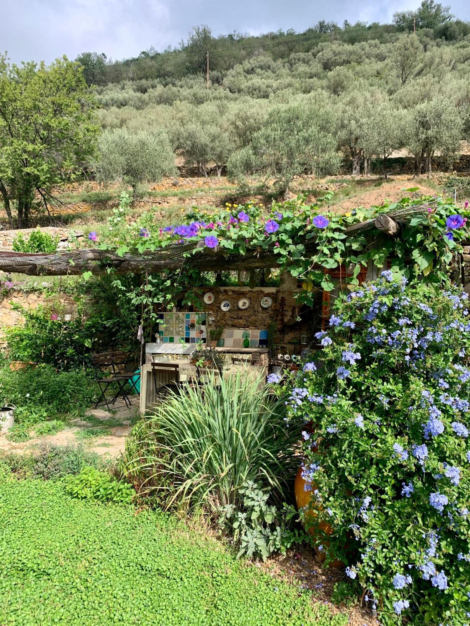 B&B Ca De Badin Noli Bagian luar foto