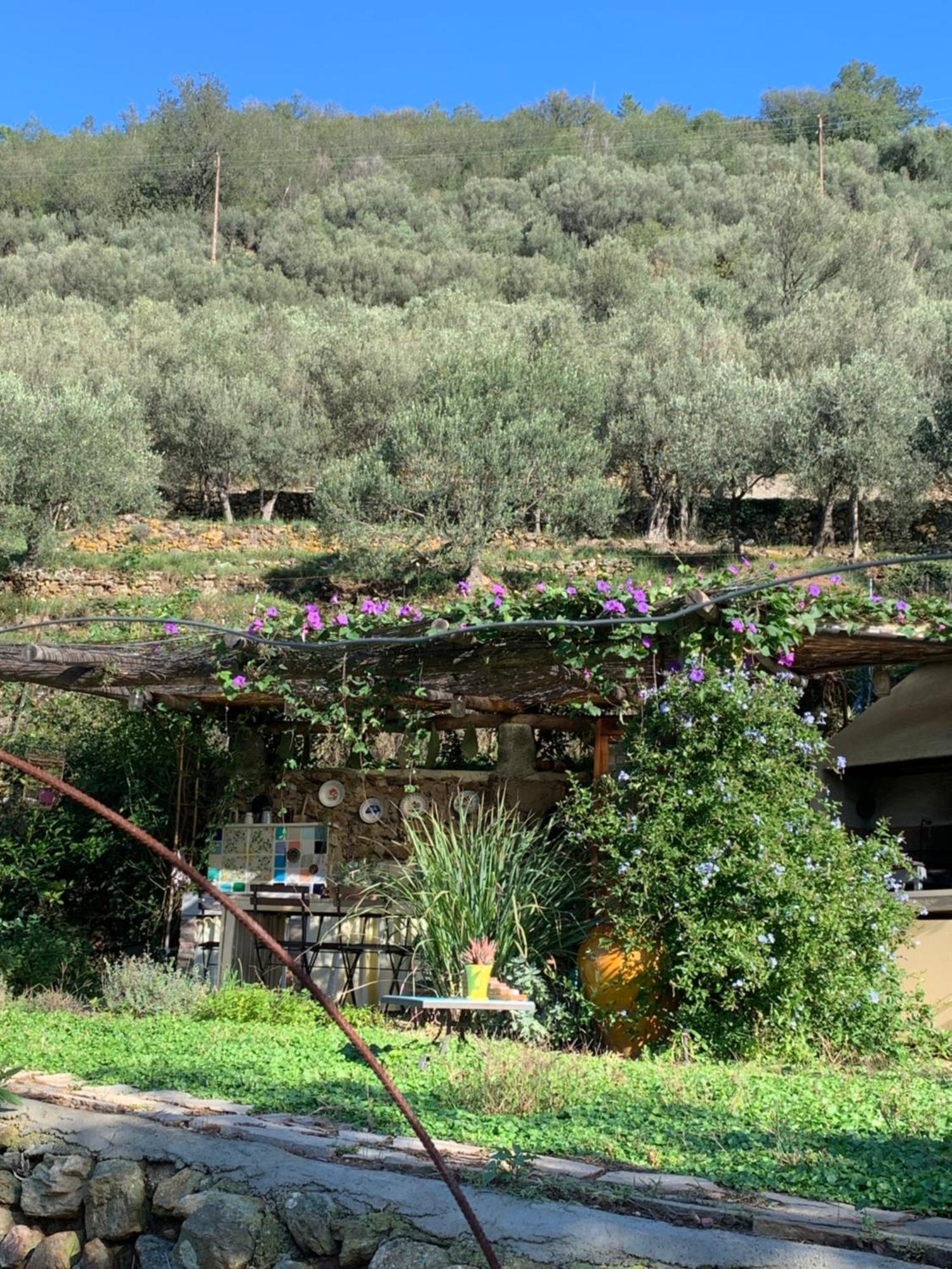 B&B Ca De Badin Noli Bagian luar foto