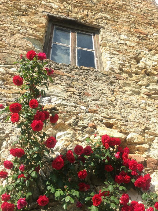 B&B Ca De Badin Noli Bagian luar foto